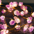 Nature Amethyst Crystal String Lights for Bedroom 10FT 40Leds Usb/Battery Operated Grape Crystal Light Pure Purple Fairy Lights Plug in for Natural Life Cute String Lights for Office
